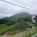 합천호스마일펜션 | [경남/합천] 스마일펜션, 합천빠지 도보 5분거리에 있는 합천호뷰 펜션 (feat. 물안개호수방)