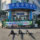 국동 이미지