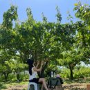 성광농장 이미지