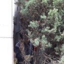 성서주유소 이미지