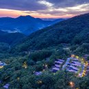 포레스트리솜 이미지