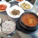 윤가네돈돼지