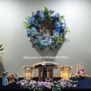 (주)마스꼬따 휴 | 반려동물 장례 업체, 마스꼬따 휴 간략 후기