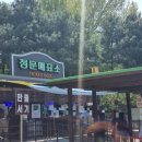 만사목장 | 안성나들이) 안성팜랜드 | ​귀여운 동물 친구들 가득! 안성팜랜드 힐링나들이 후기