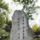 심심산골 이미지