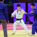 에이스 유도체육관 이미지