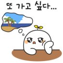 대포숲캠핑장 이미지