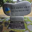 GR(합천군)-[동부로]-하-10 | [1일차, 낙동강~합천, 132km] 아들과 함께 하는 국토 종주 자전거 여행(부산 ~인천 도착,약 633km) - 1...