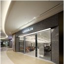 개스타 살롱 이미지