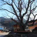 송대마을경로당 이미지