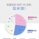 베오레 | 뜨거운 여름철 발보습을 책임질 강아지풋크림 [베오레오 풋케어크림]