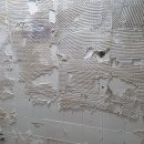 고려아파트 이미지