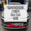 CM | 대구 연료효율 좋은 3M CM 썬팅필름 그랜저 시공후기