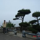 울진봉평신라비전시관 이미지