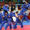 유로태권도 이미지