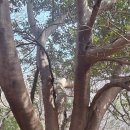 남양초 주차장 이미지