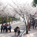 계명대학교 성서캠퍼스행소박물관 이미지