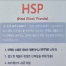 콜렌60도 이미지