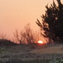 이산농장 이미지