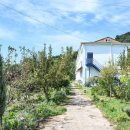 리:피움미술관 이미지