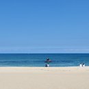 파랑새목장 이미지