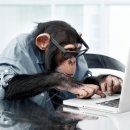 인터넷 월드 이미지