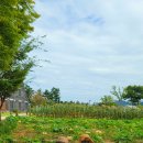 백수목장 이미지