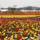 천사꽃펜션 이미지