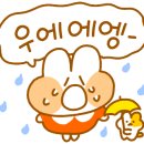 엔에스테니스존