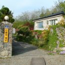 민들레모텔 이미지