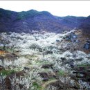 여수주유소 (앞) 이미지