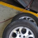 하이카 가로수점 이미지