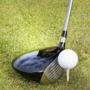 안산골프연습장 이미지