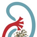 서울엔(N)비뇨기과의원 이미지