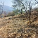 광천농장 2 이미지