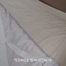오동슈퍼 - 상주시 오동1길 42 | [아기 쿨매트 추천] 체온 조절 못하는 아이를 위한 베베누보 포르페 쿨매트
