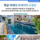 데일리풀 이미지