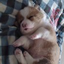 서령 PC방 이미지