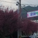 홍매뜨락협동조합 이미지