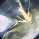 문정힐스 동물병원 이미지