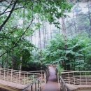 세계로여행사주