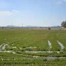 내도경로당 이미지