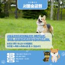 행복한 산책 이미지