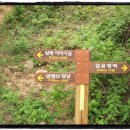 금병초등학교 이미지