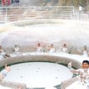 홍삼매점