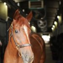 렛츠스포츠 이미지