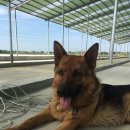 충만한우농장 이미지