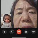 놀면묘하냥 고양이카페 이미지