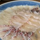 범어동맛집 포항참가자미에서 즐긴 자연산 모듬회 후기 대구횟집추천