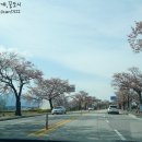 보헤미안박이추커피